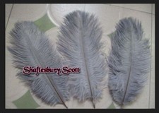 SILVER GREY FEATHERS OSTRICH x