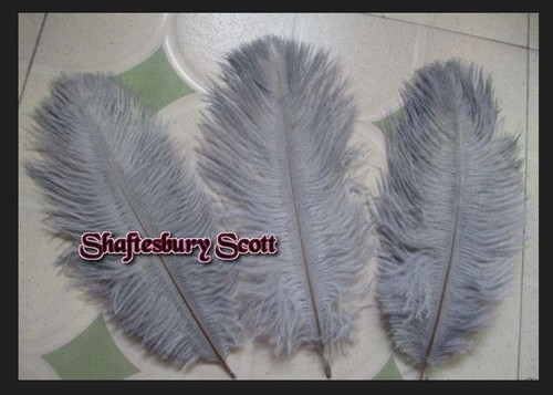 Silver grey feathers - silver, ostrich