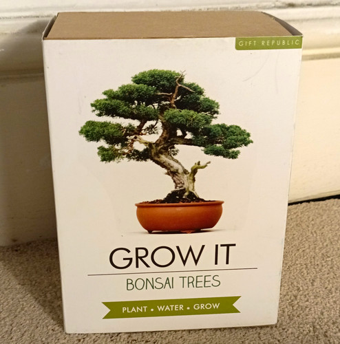 Gift republic grow bonsai - grow,