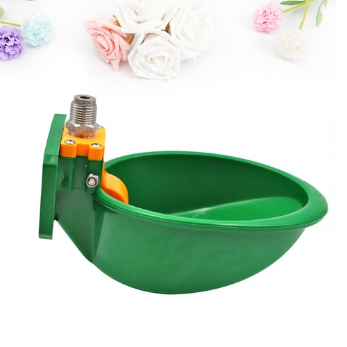 Farm animal water - animal, feeder