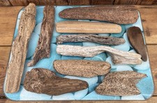 Unique Driftwood Pieces