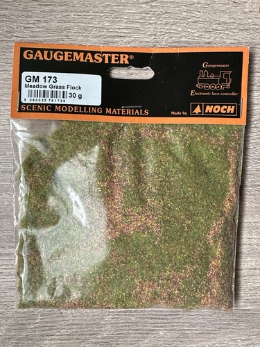 Gaugemaster meadow grass - meadow, flock