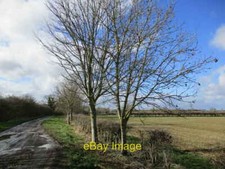 Photo 6x4 Pinfold Lane