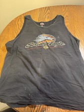 Screaming Eagle Harley