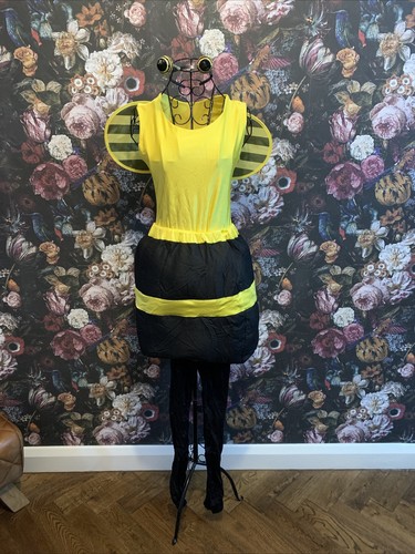 Adult fancy dress one - fancy,