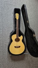 Washburn EA20 Electro Acoustic