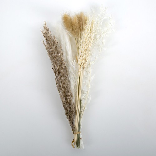 16pcs natural dried flower - natural,