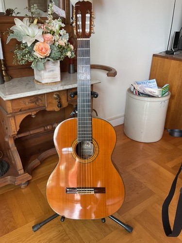 Takamine 134s classical guitar - classical,
