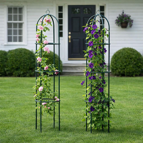 Garden obelisk outdoor - garden,