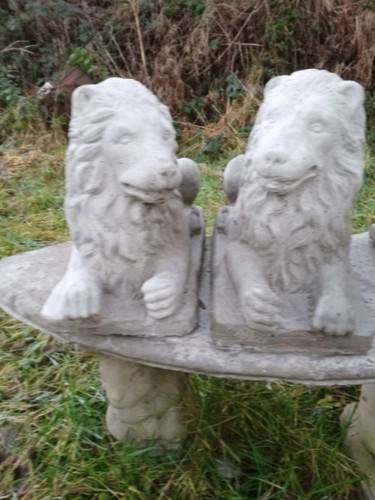 Pair lying down - down, lions