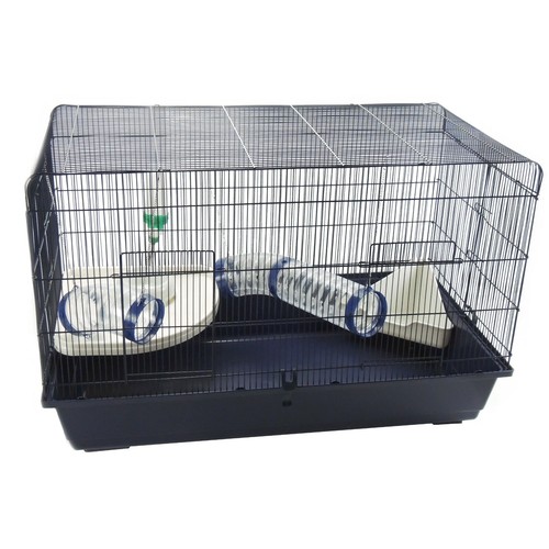 Rat syrian hamster - rat,