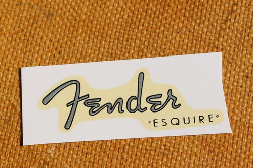 Fender esquire silver - 50's,