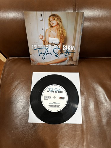 Taylor swift picture to burn - taylor,