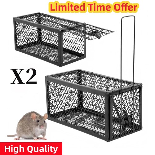 Rat catcher spring - rat,