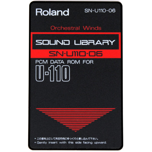 Roland u110 orchestral - sn-u110-06,