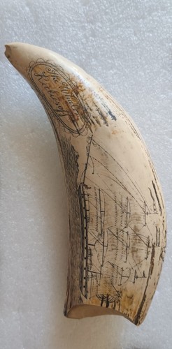 Vintage scrimshaw faux - vintage, whale