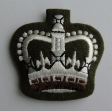 British Army Warrant Officer