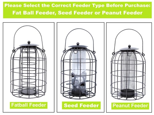 Squirrel proof hanging bird - squirrel,