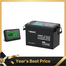 Renogy 200Ah 12V LiFePO4 Lithium Leisure Battery with 500A Battery Monitor