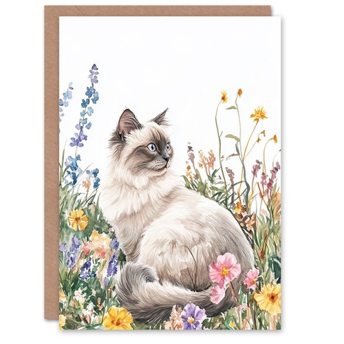 Ragdoll cat lover pet - cat,