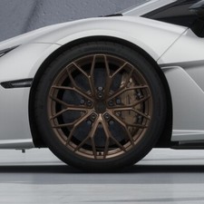 Premium Brake Caliper Paint -