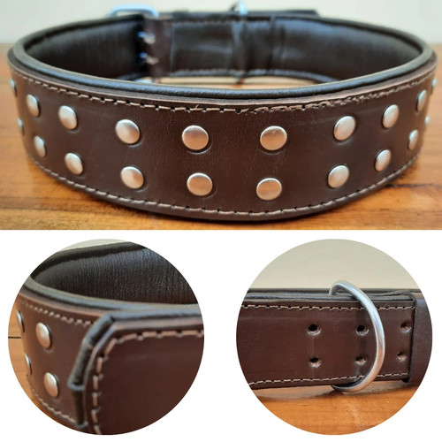 Studded dog collar - studded,