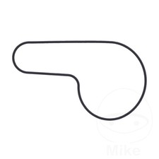 Genuine OEM Water Pump Cover