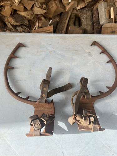 Antique tree climbing spikes - antique,