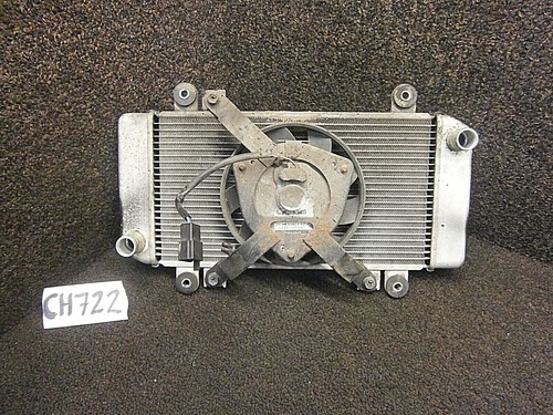 Kawasaki ninja 250 - kawasaki, r