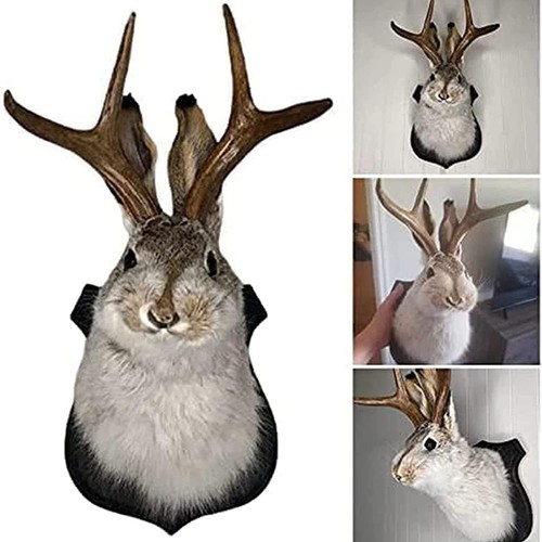 Jackalope mount - jackalope, mount,