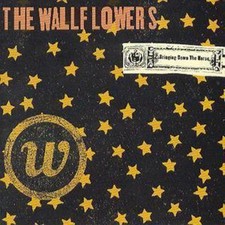 The Wallflowers: Bringing Down