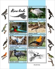 RARE BIRDS Bird MNH 6v-Stamp Sheet #2362 (2024 Sierra Leone)