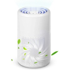 Home Air Purifiers For Large