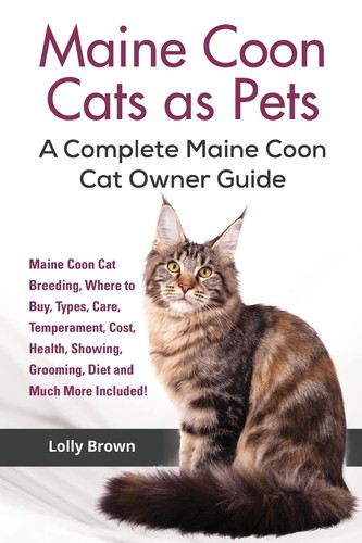 Maine coon cats - coon,