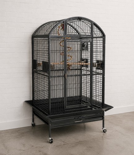 Large parrot bird cage amazon - parrot,