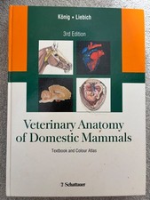 konig liebich veterinary
