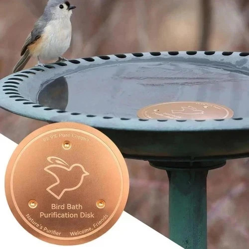 Bird bath copper disk - bird,
