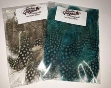  50 x Selected & Super Selected Guinea Fowl  Hackles Gordon Griffiths