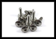 Stainless Yamaha m6 x 20mm