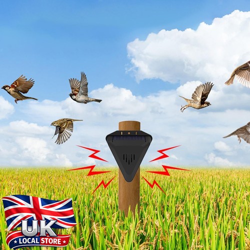 Sounds bird scarer device - bird,