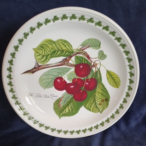 Portmeirion dinner plate the - portmeirion,