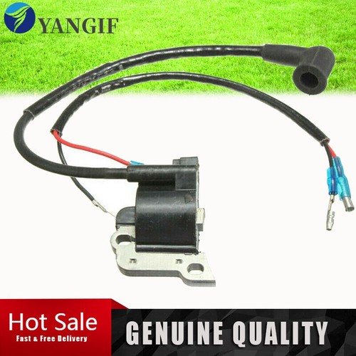 Ignition coil for - ignition, brush
