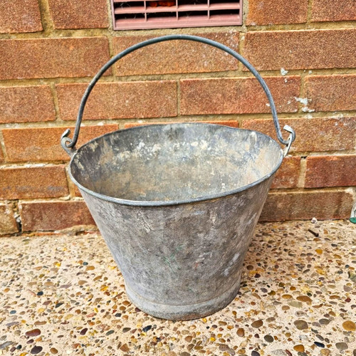 Galvanised metal bucket plant - metal,