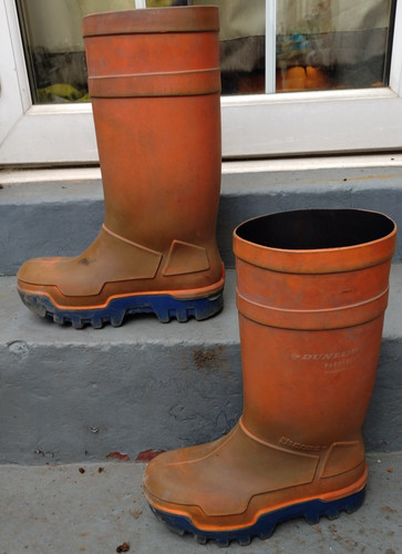 Orange dunlop purofort - dunlop,