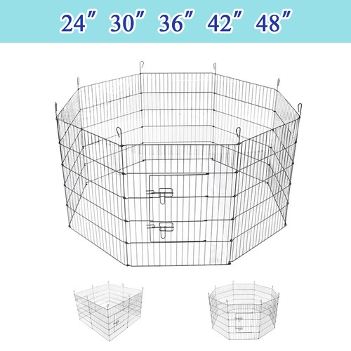 Dog pet pen rabbit puppy - dog,