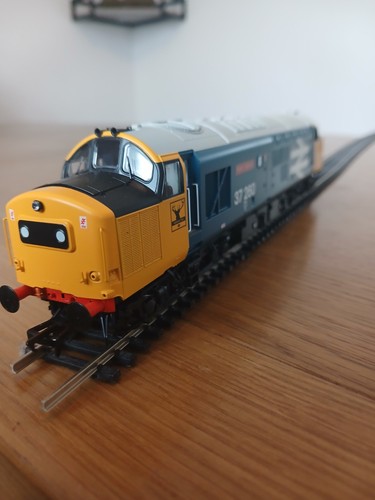 Bachmann gauge 309 class - oo,