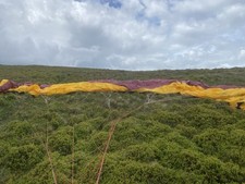 Axis Comet Paraglider Wing M