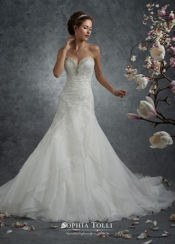 Sophia tolli y21741 - tolli,
