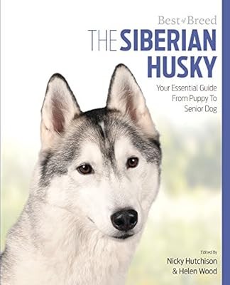 Siberian husky best - siberian,