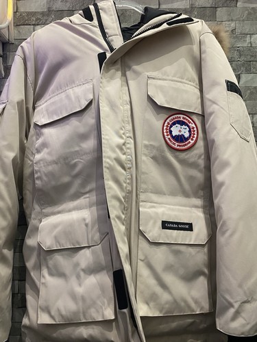 Canada goose expedition - goose,